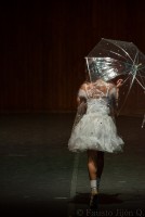 /album/fotografo/se-acabo-jpg/